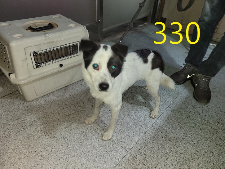신영재동물병원_428355202300519